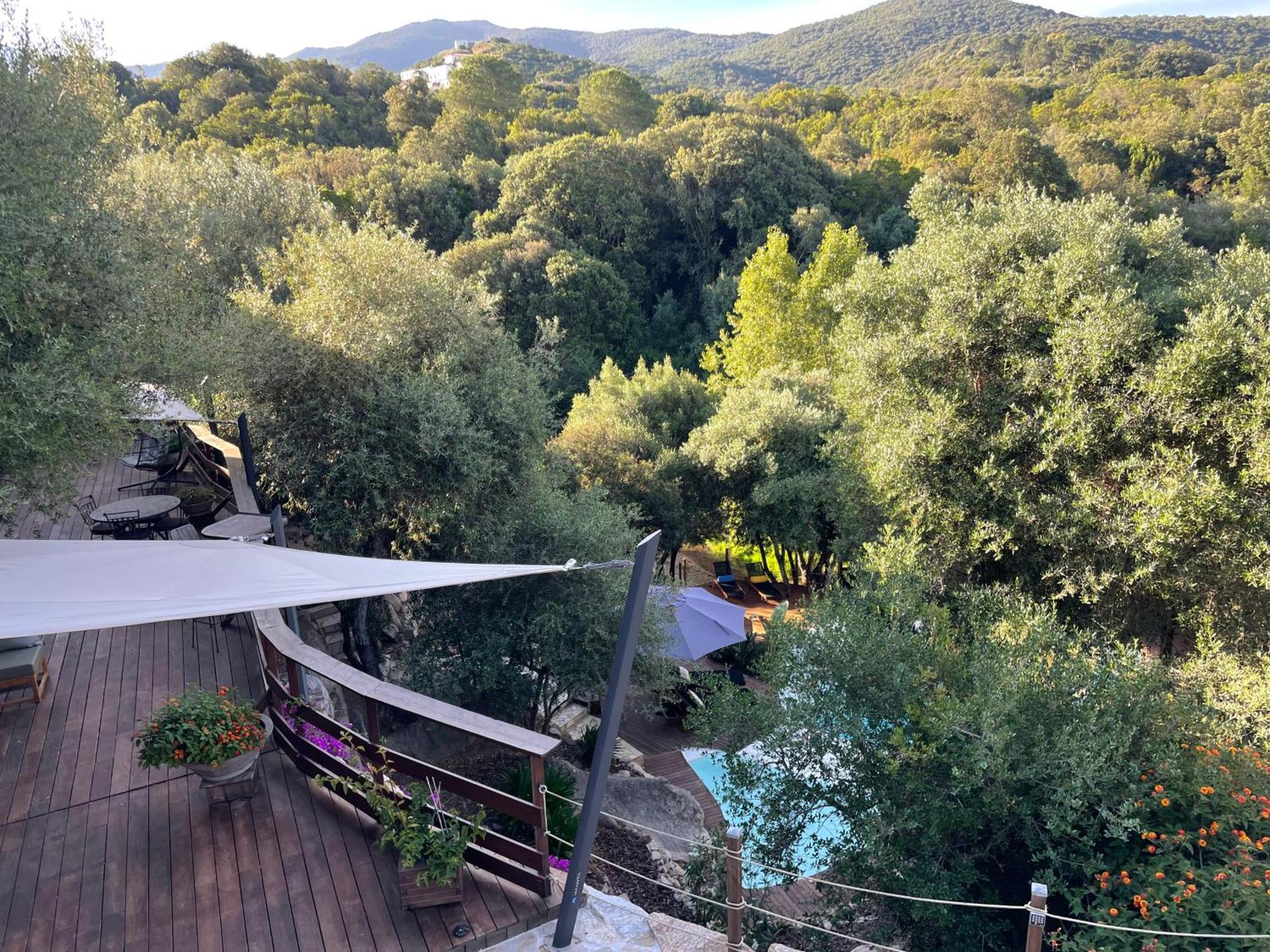 Chambre D'Hotes A Vadina Porticcio Porticcio  Dış mekan fotoğraf